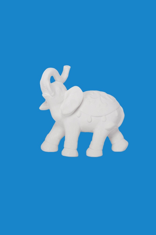 Elephant Trunk $.
