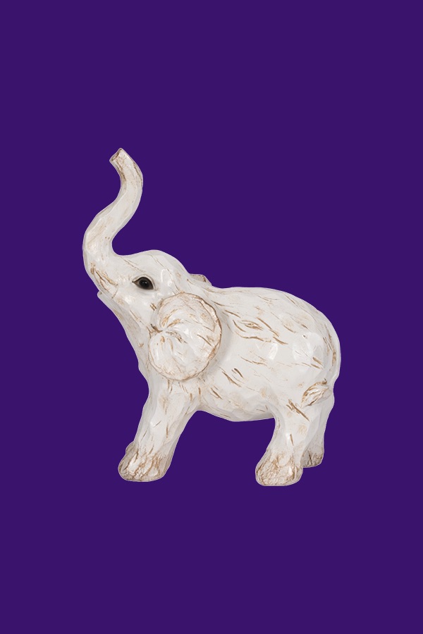 Elephant White $.